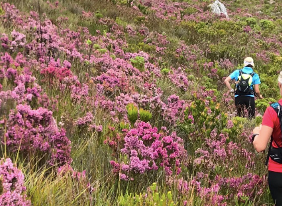 Hiking Tours Cape Town 6.png