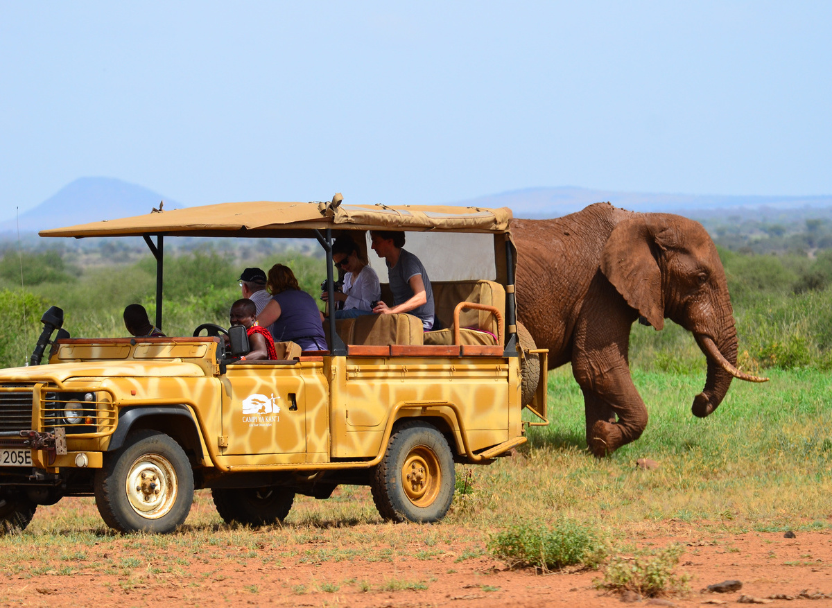 Electric Land Rover on game drive