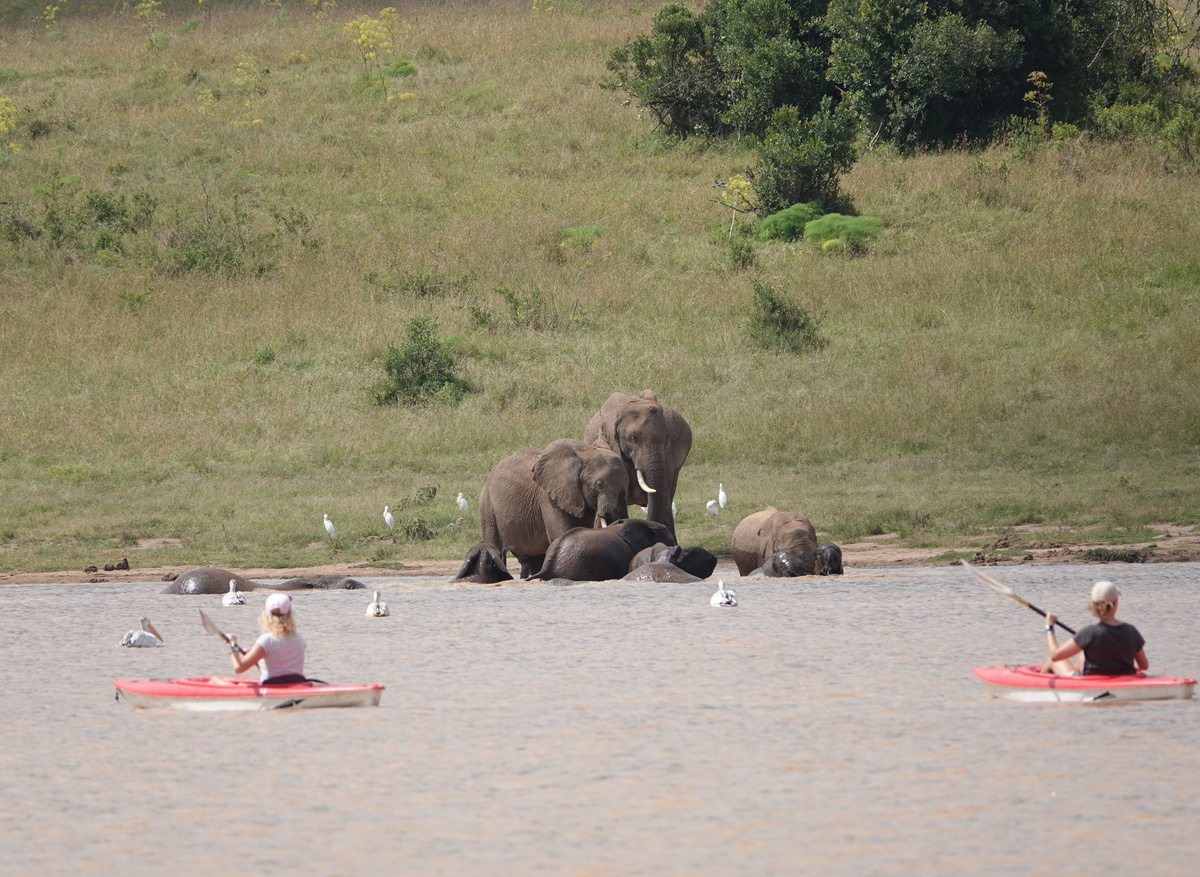 Kayak at Siruai Mobile Camp