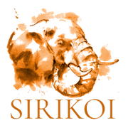 Earthy Orange.png
