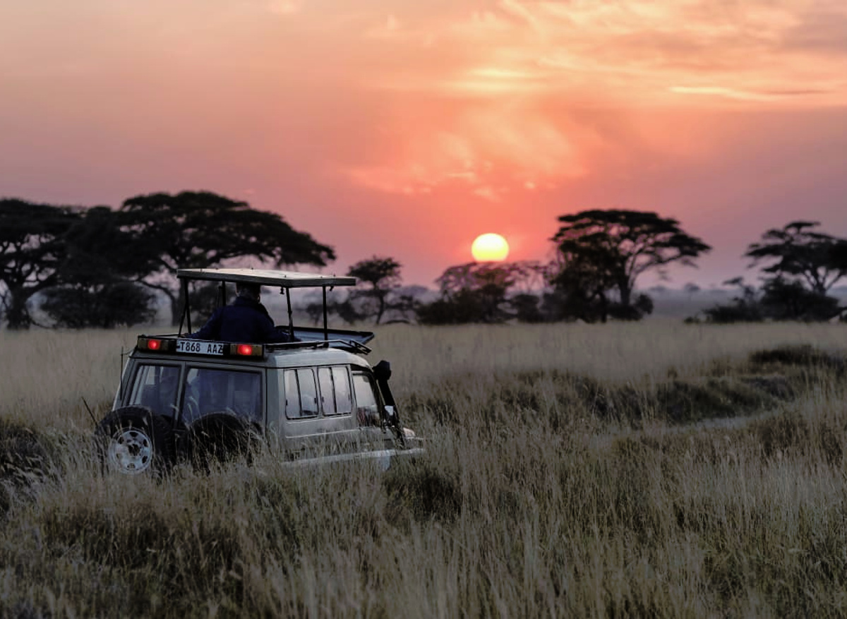 serengeti luxury safari land cruiser sunset game drive luxury.jfif