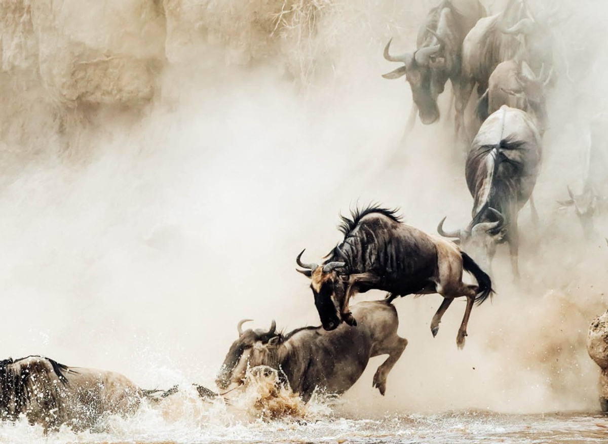 9e855291d8220f9200af8472f909445d - Copy.jpg