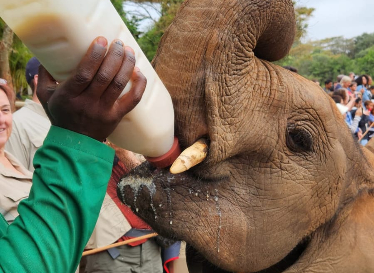 AQS Nairobi City Tour.jpg