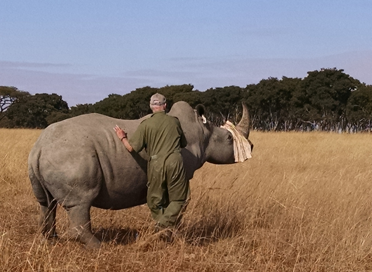 Chris Rhino_HighRes.jpg