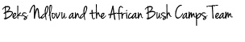 9519-african-bush-camps-signature.png
