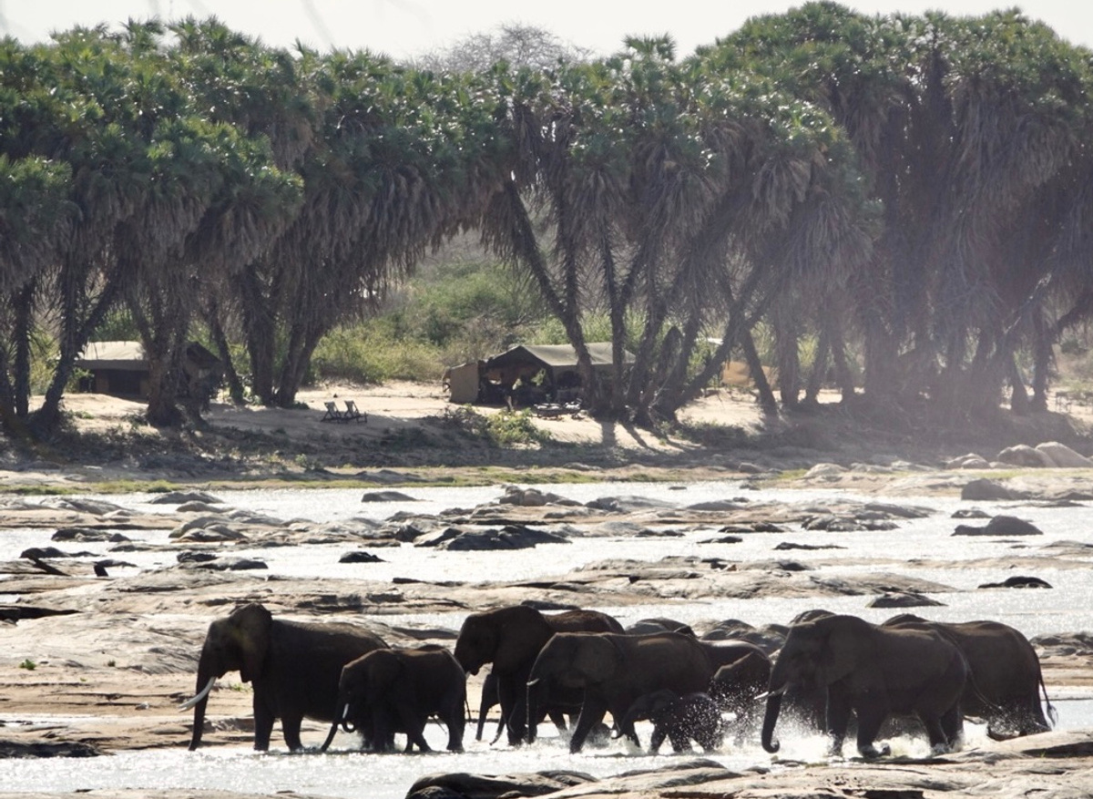 The Bush Camp, wild locations
