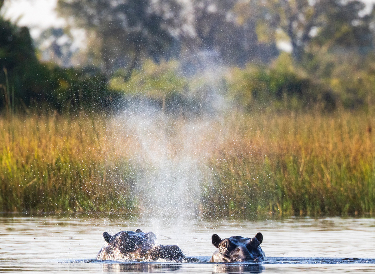 Okavango