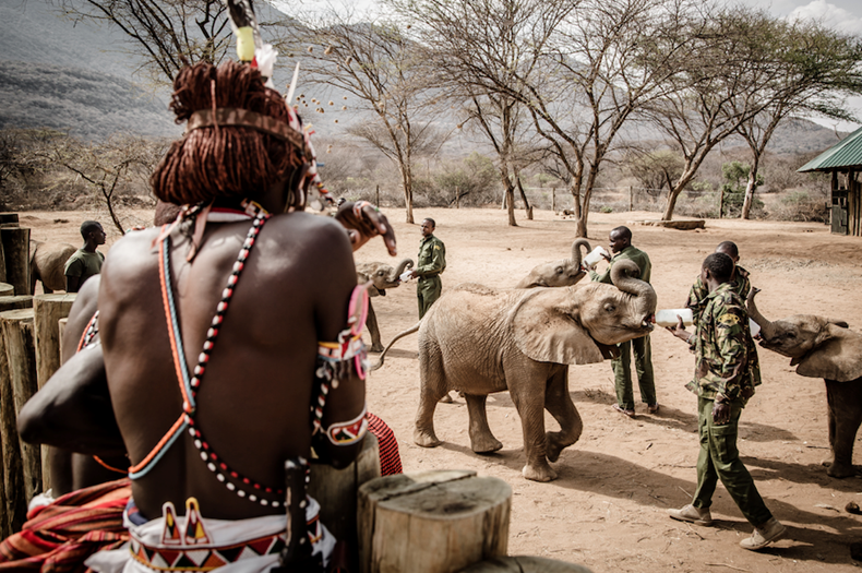 9677-samburu-at-reteti.png