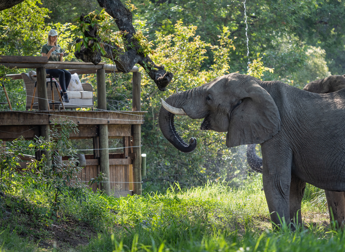 Tintswalo Safari Elephant Hide