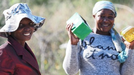 Food Distribution Banner.jpg