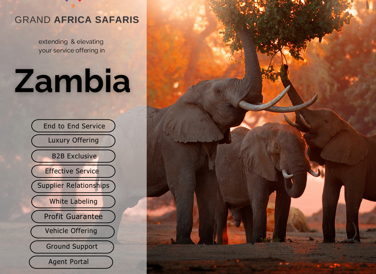 12E9A020-E4E5-4071-B3D1B6675C22BA35_19