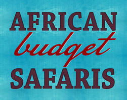 African Budget Safaris
