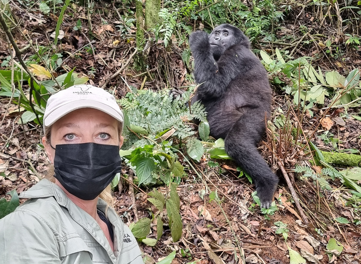 Gorilla trekking Uganda