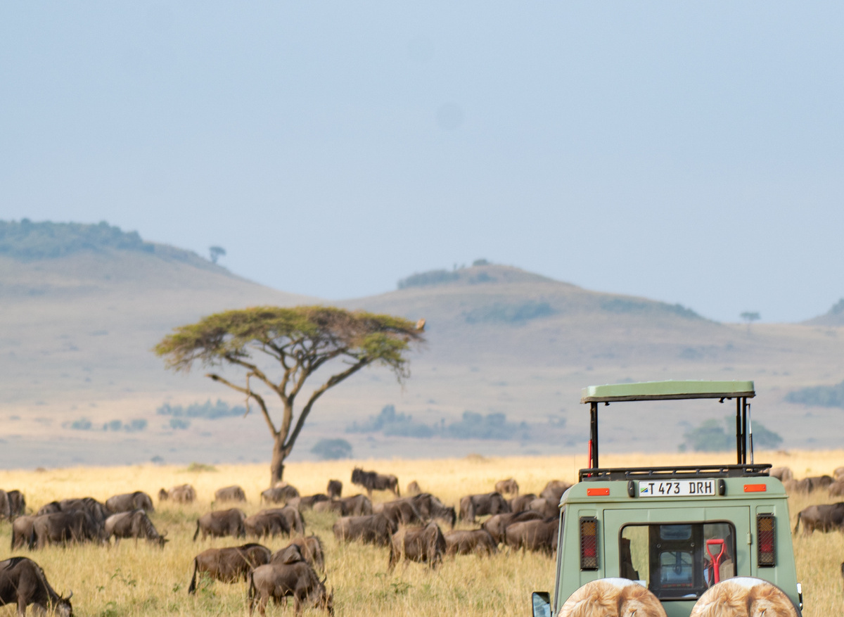 Copy of SoA car in migration (4 of 5)(2).jpg