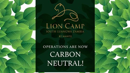 LC Carbon Neutral Leaves.jpg