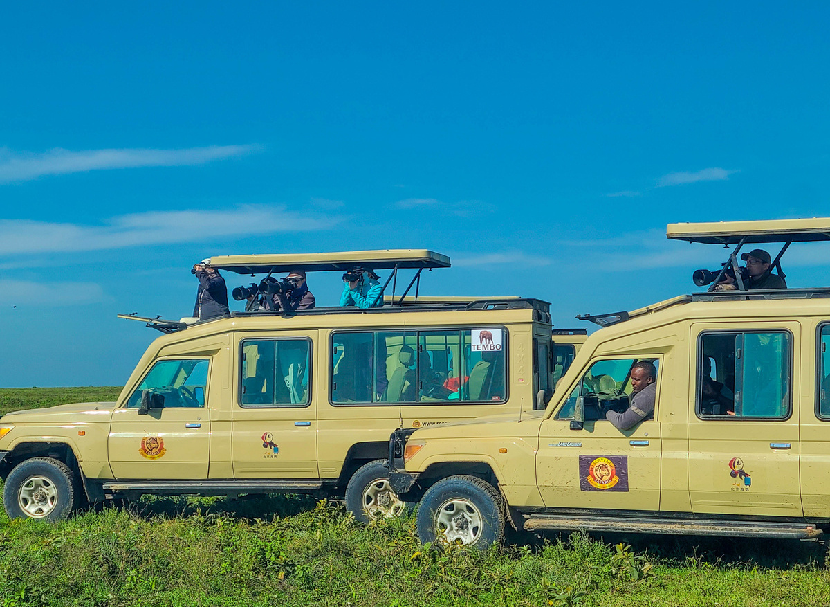 POP-UP Safari Experience