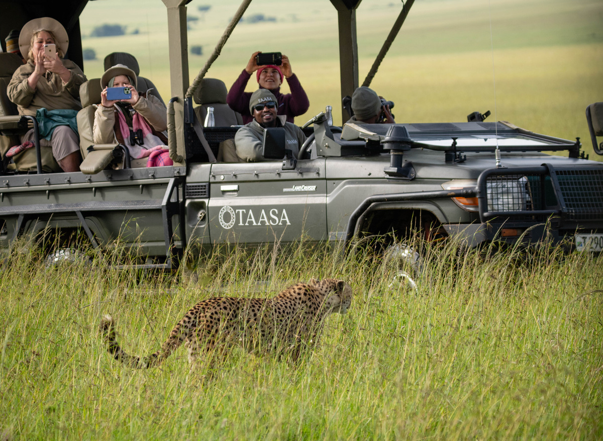 TAASA Lodge - Safari