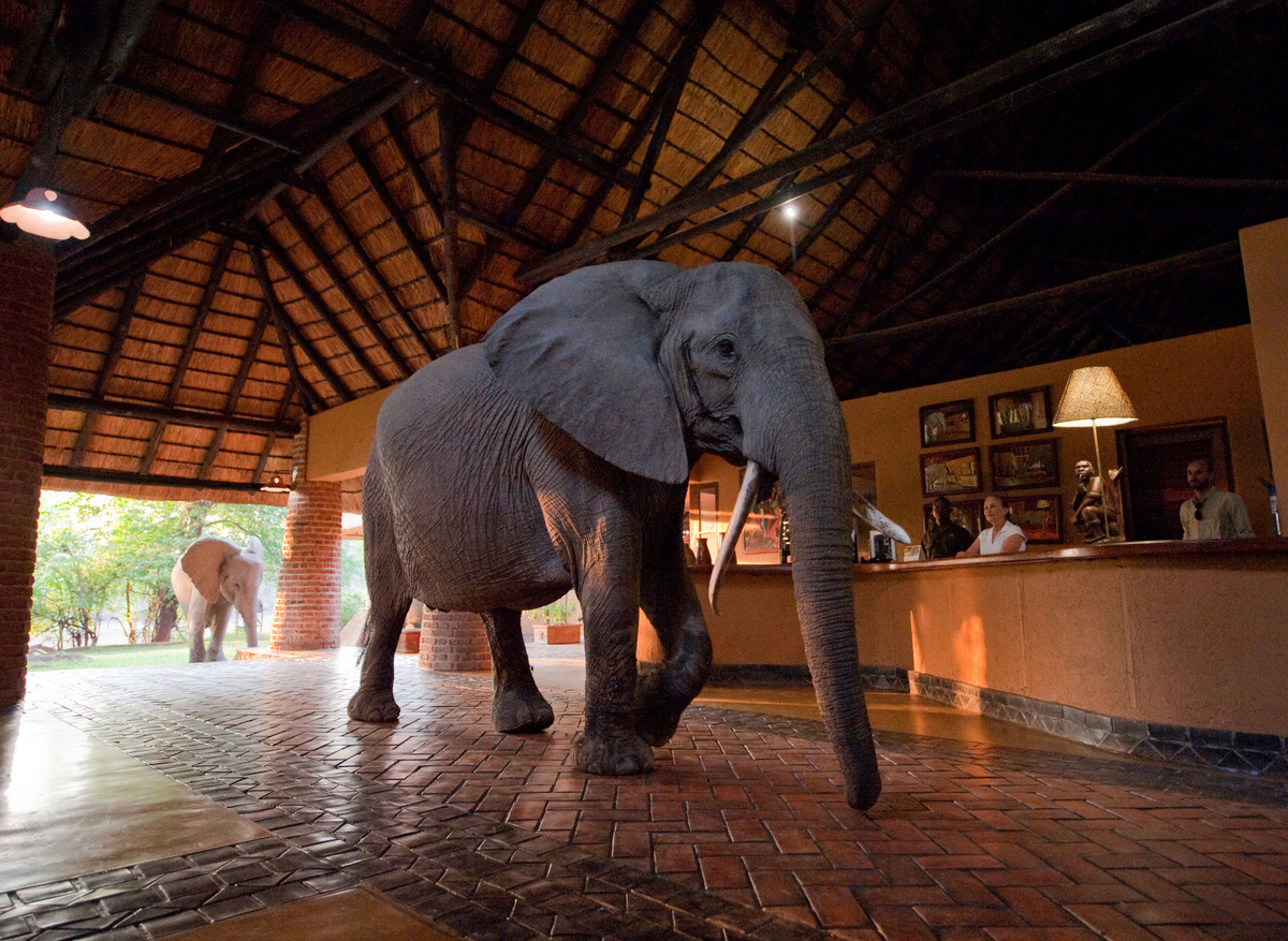 BCC Ele reception.jpg