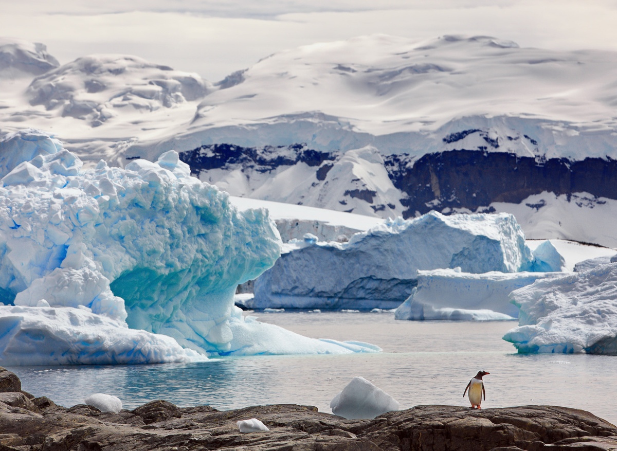 Antarctica.jpg