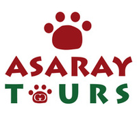 AsaRay Logo5.jpg