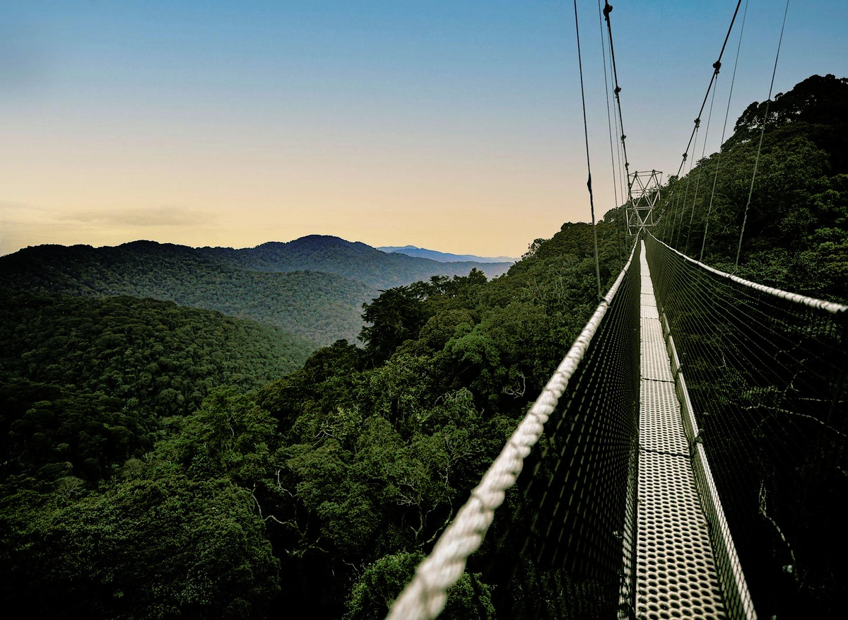 WhatsApp Image 2026-02-09 at 11.17.39.jpeg