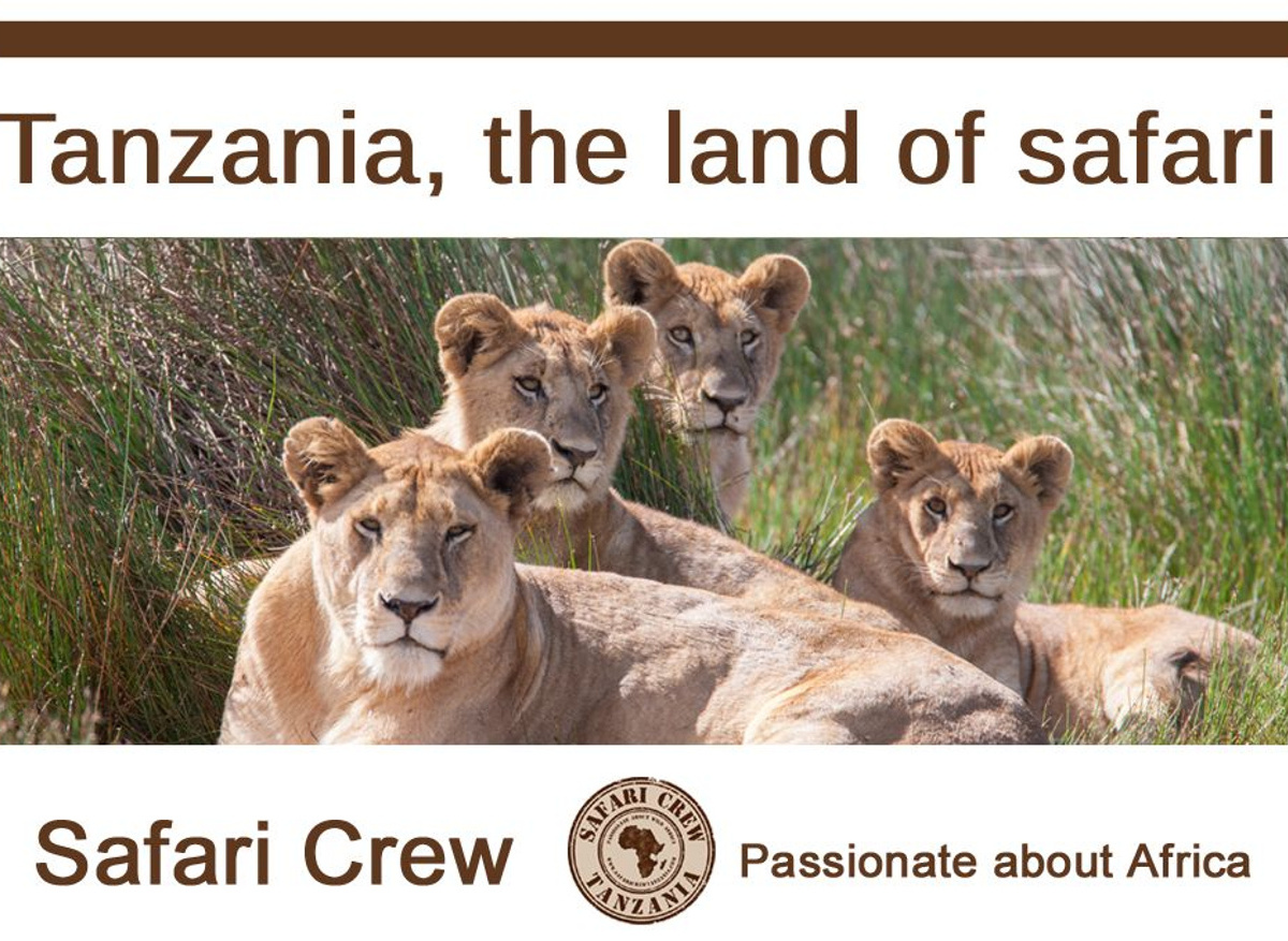 Safari Crew Tanzania - African Safari Specialists.jpg