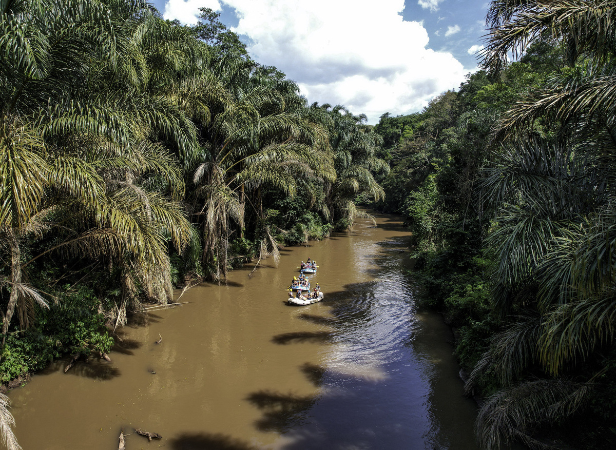 Kakamega Rain Forest