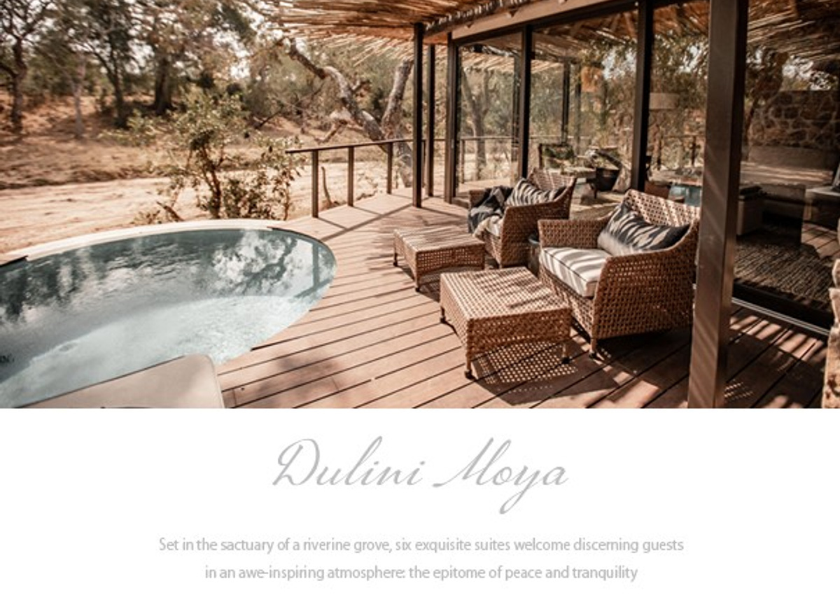 (1) Dulini Moya - Banner.jpg