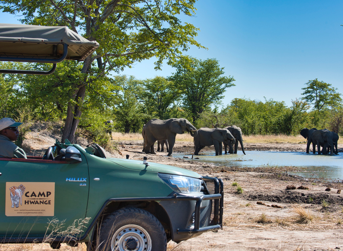 CampHwange_game_drive_02