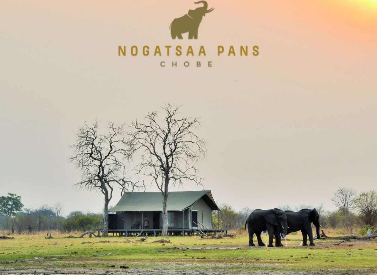 Nogatsaa Pans - Chobe