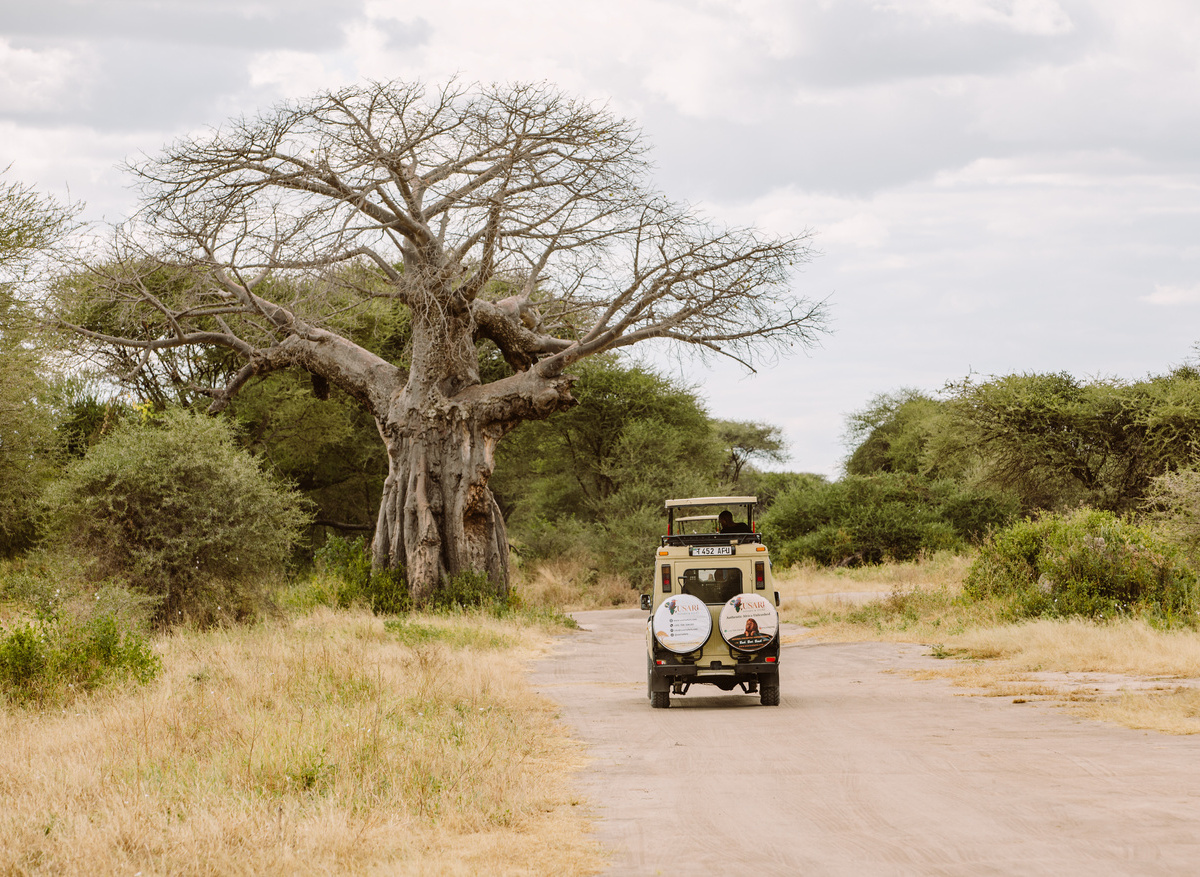 Game Drive Safari