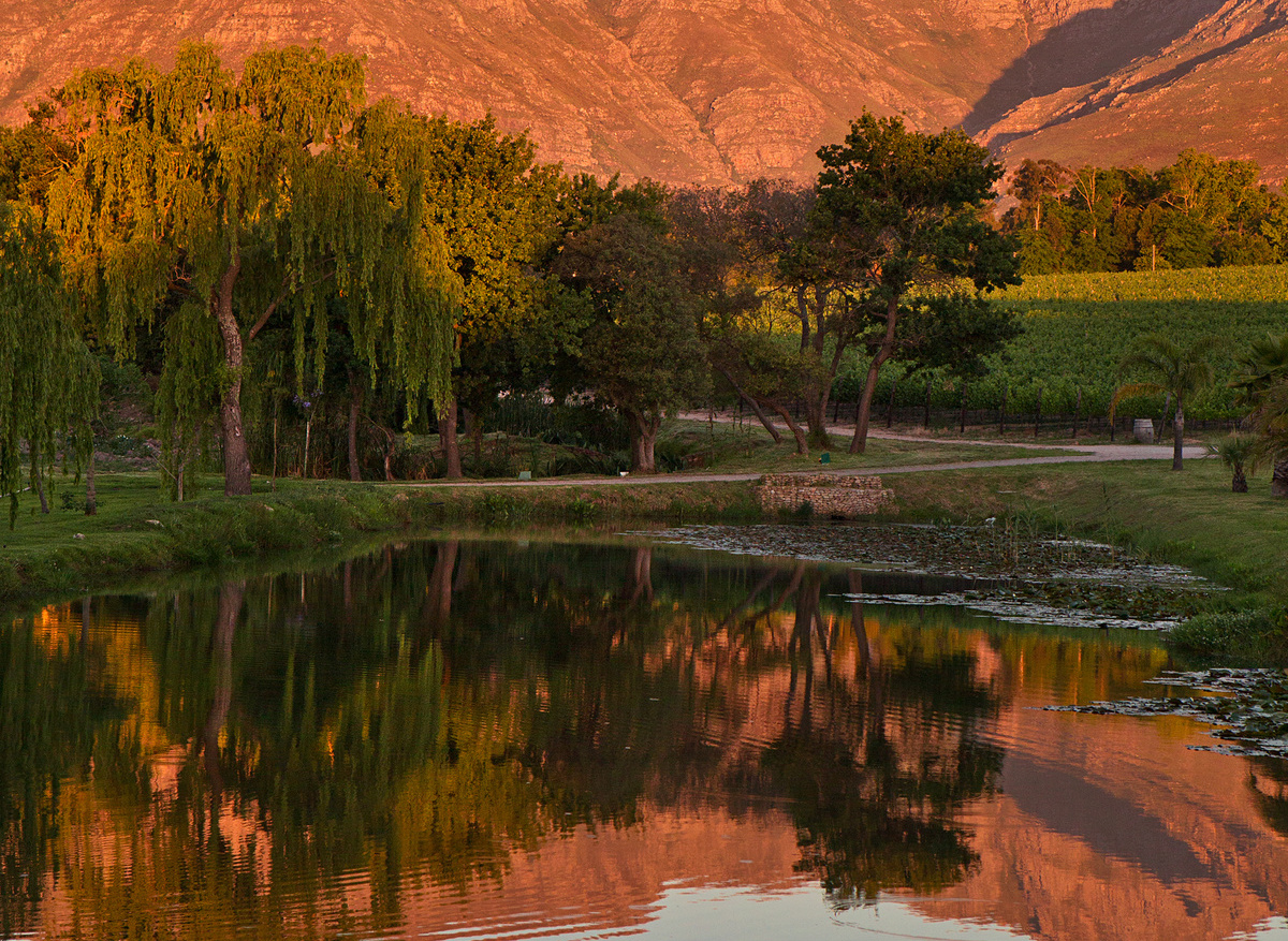 Stellenbosch Wine Routes Stellenbosch Mountain from Peter Falke HB_301.jpg