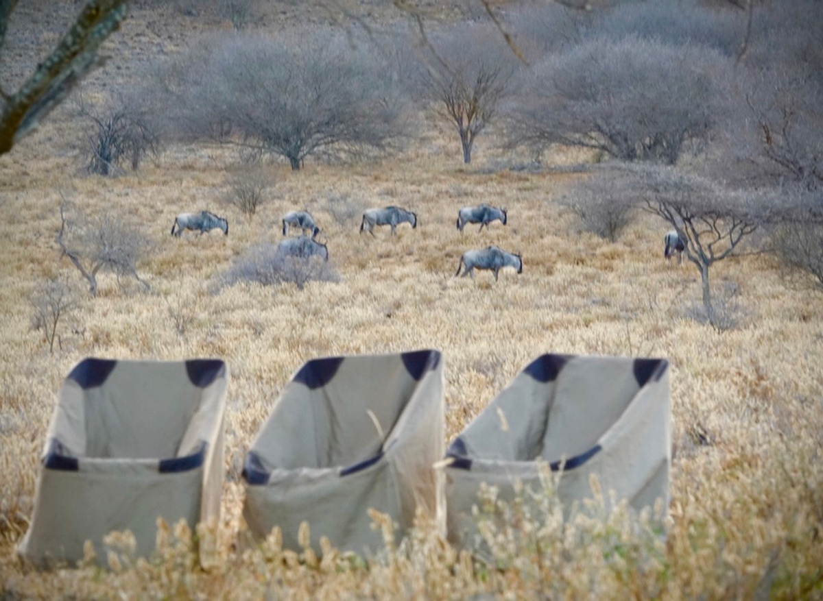 The Bush Camp, Tsavo West