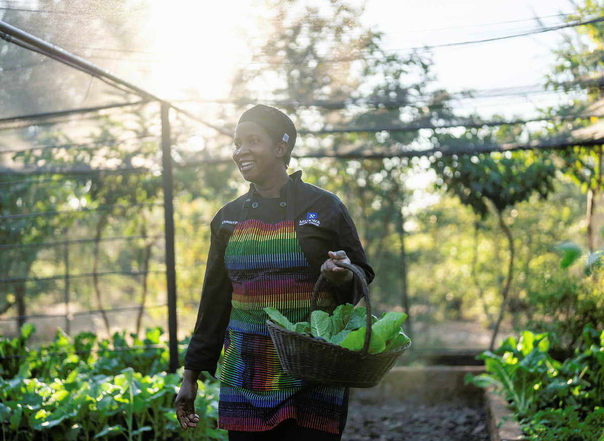 Mukwa Organic Gardens (2).jpg