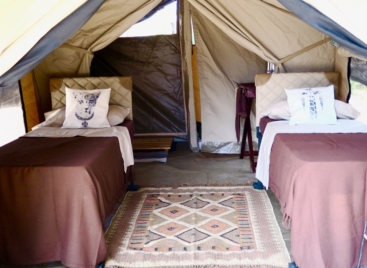 The Bush Camp - Guest tent