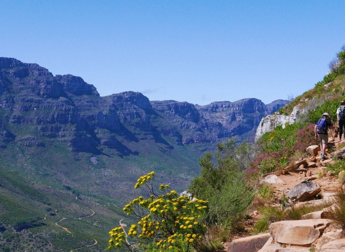 CHAINS & LADDERS - LION'S HEAD.jpg