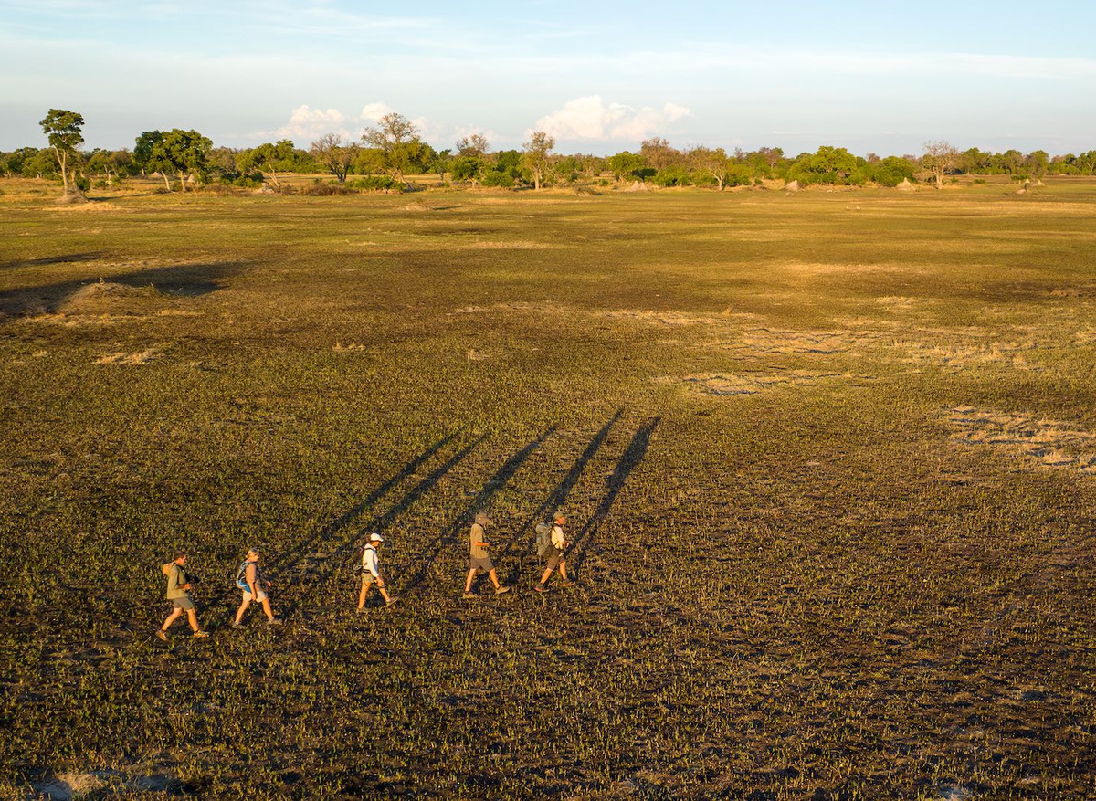 Walking in the Okavango Delta 4 copy.jpg
