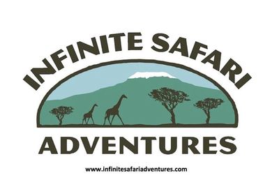 Alan Feldstein - Owner - Infinite Safari Adventures