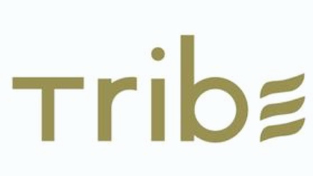 Tribe Collection - Feature Logo.jpg 1