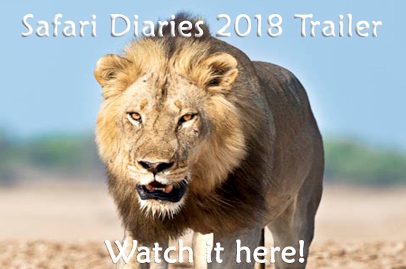 Safari Diaries EnglishTrailer.jpg