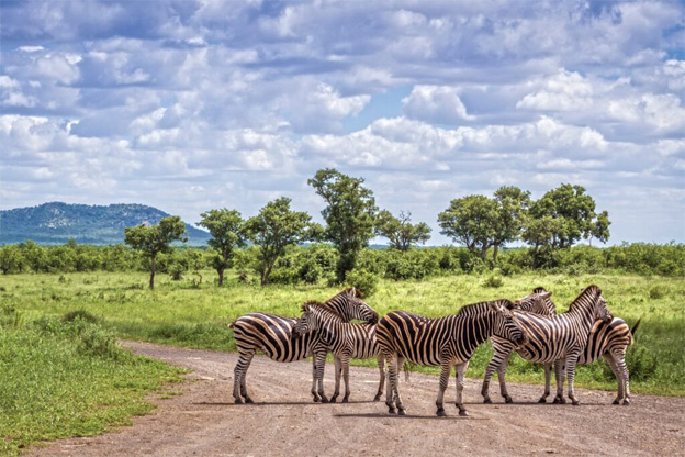 South-Africa.jpg 1