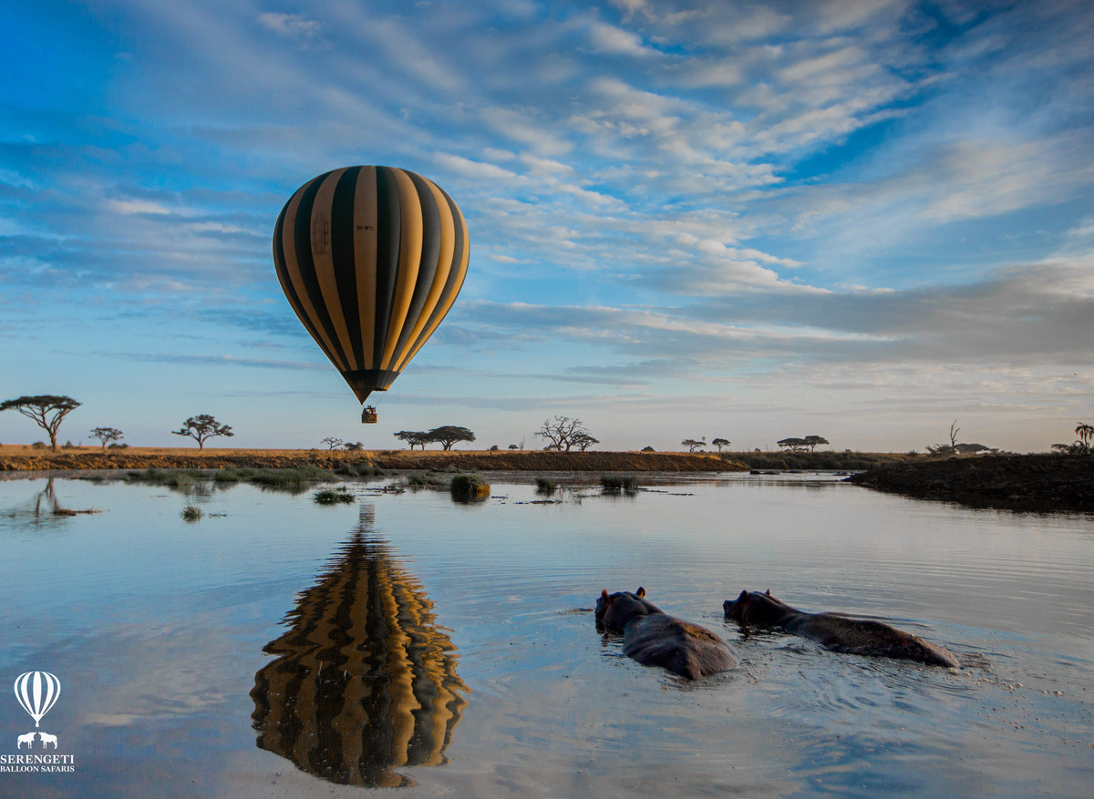 Balloon and Hippo2.jpg