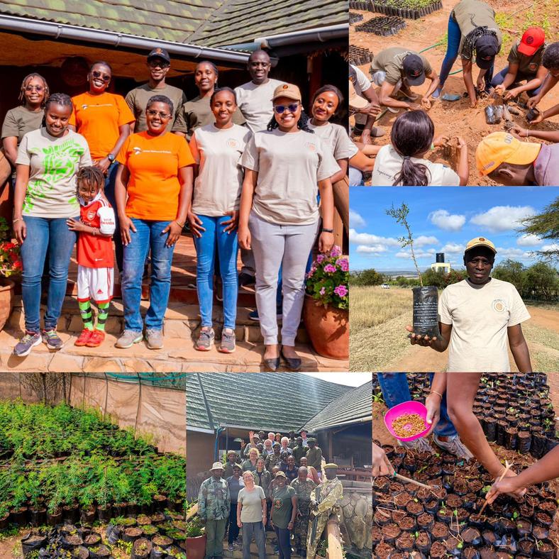 MMTC+Sustainability.jpg