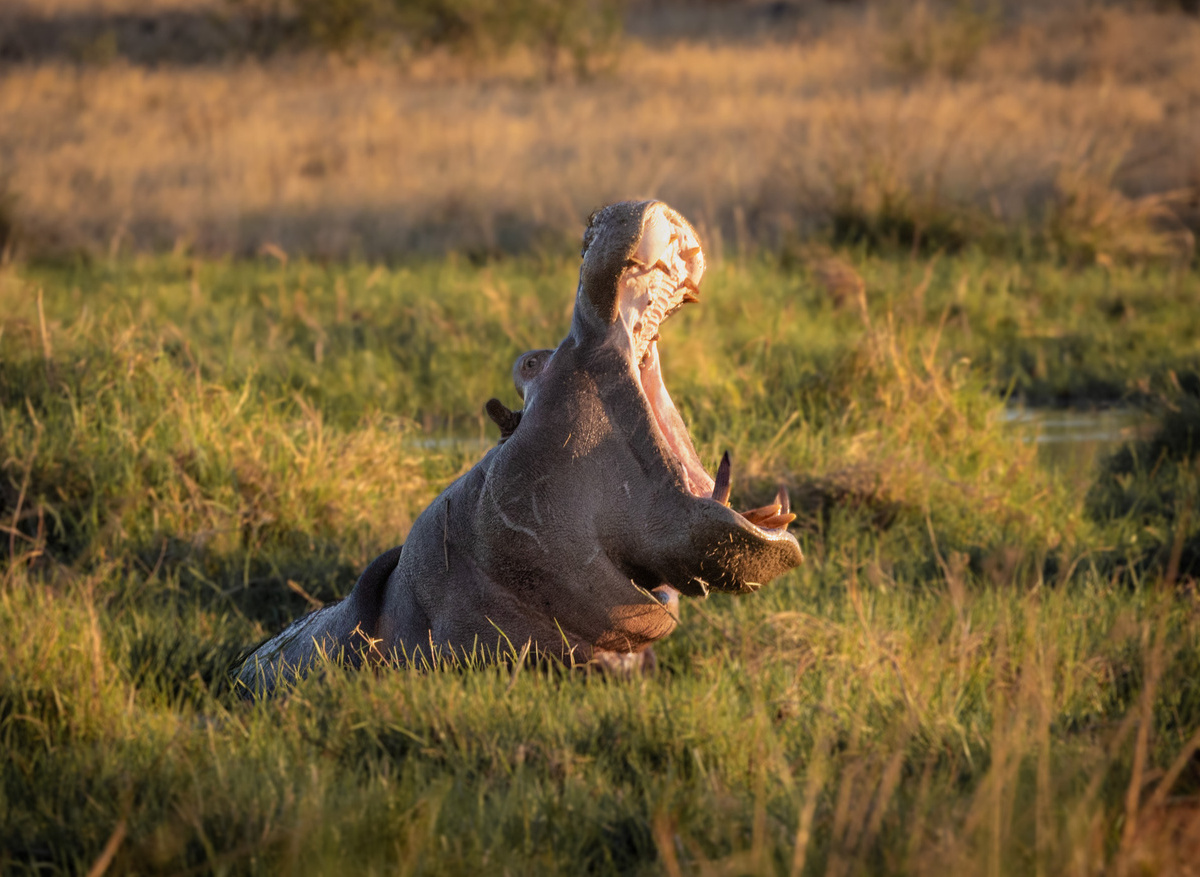 36713CA3-72C8-43B2-977BF38F7A049E30_16