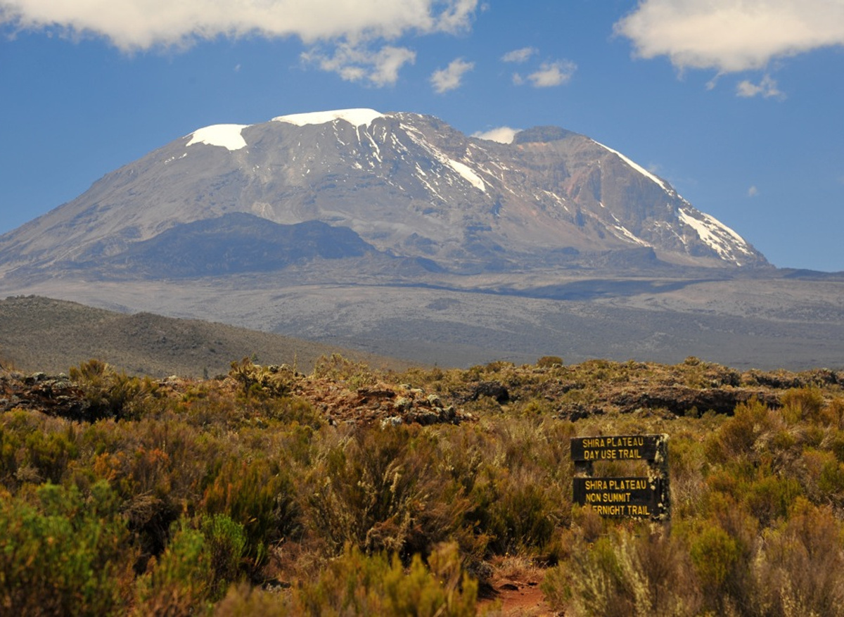 Kilimanjaro for All - Shira Plateau