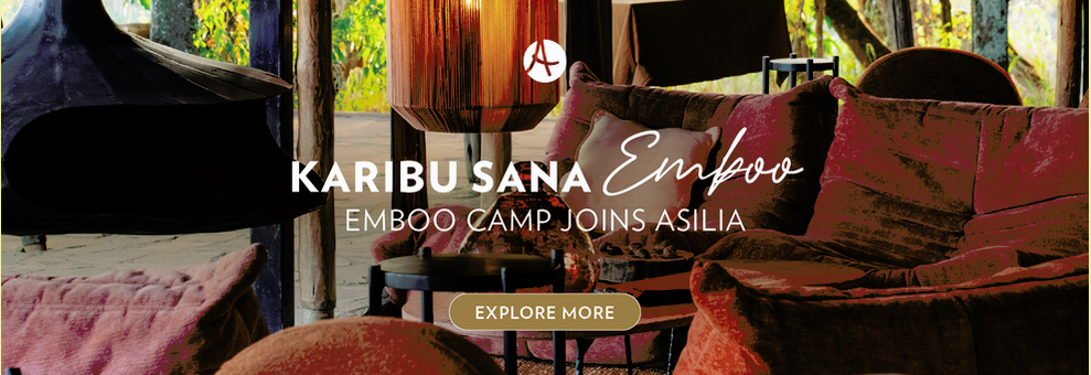 Emboo IZ banner- 600x870.png