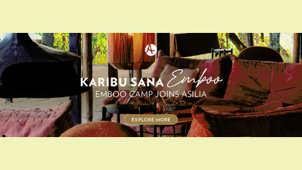 Emboo IZ banner- 600x870.png