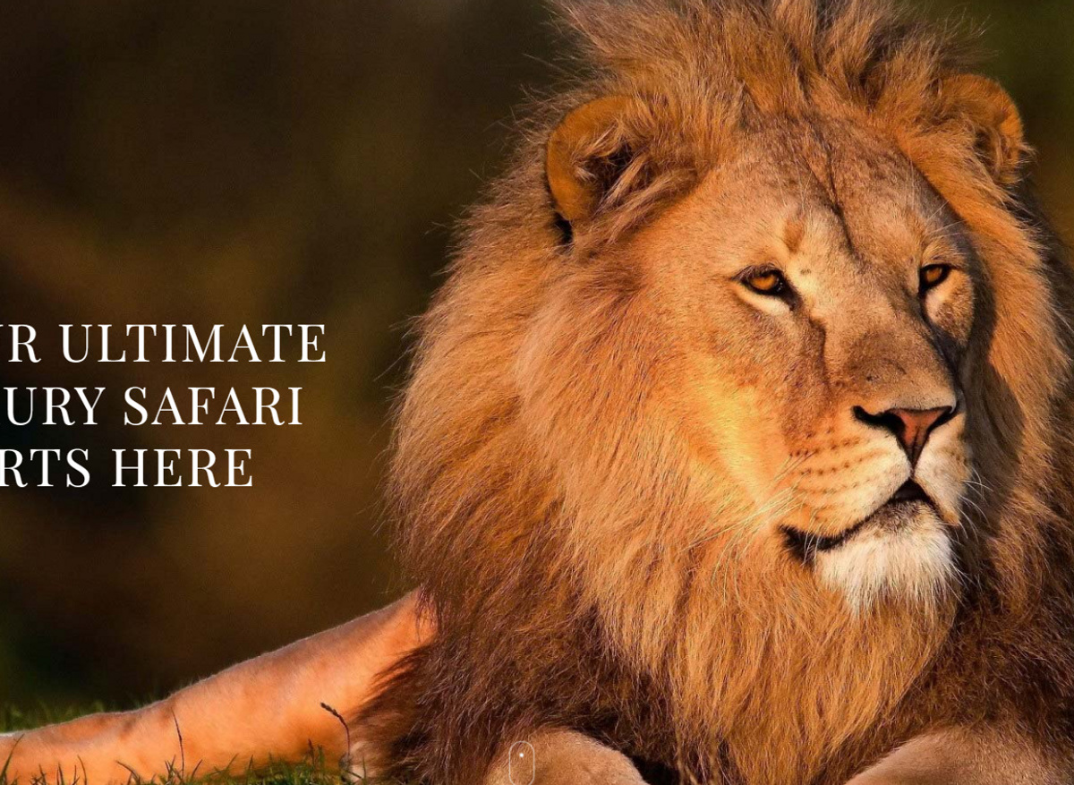 ULTIMATE LUXURY SAFARIS FOR DISCERNING GUESTS. png