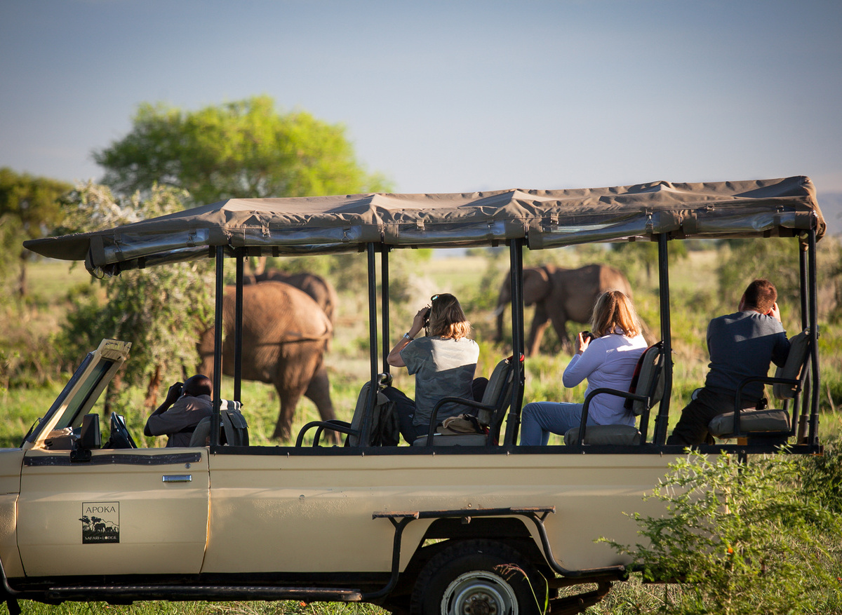 Apoka Game Drives.jpeg