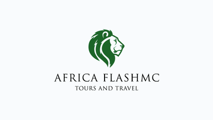 Africa Flash McTours and Travel logo.png